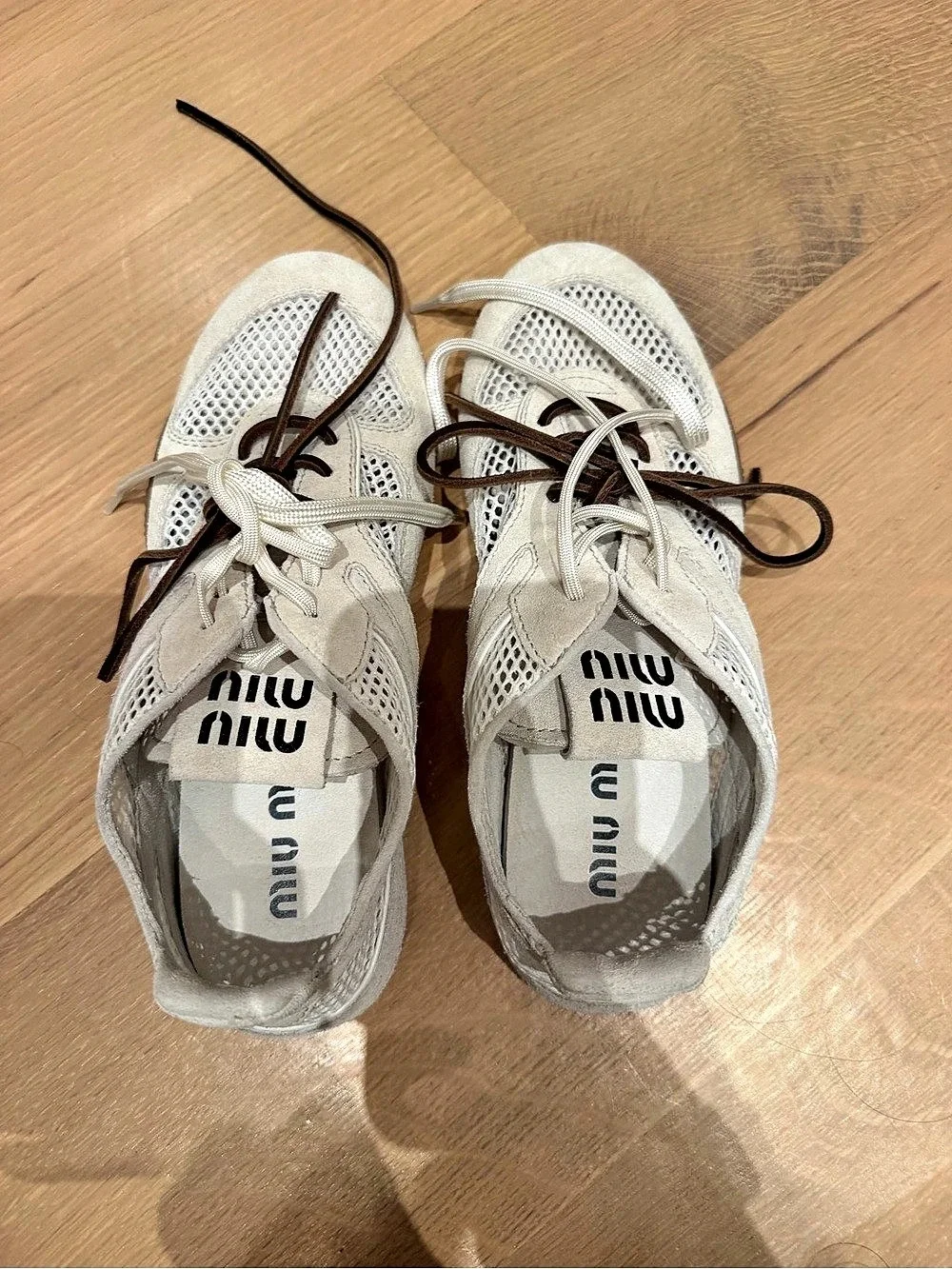Miu Miu miu plume